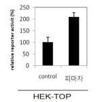 대표도면