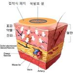 대표도면