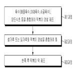 대표도면