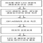 대표도면