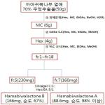 대표도면