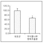 대표도면