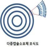 대표도면