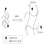 대표도면