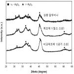 대표도면