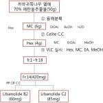 대표도면