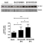 대표도면