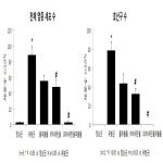 대표도면