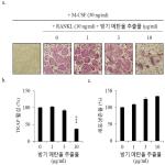 대표도면