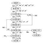 특허]수산화리튬, 및 탄산리튬의 제조 방법 및 그 장치