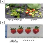 대표도면