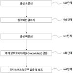 대표도면