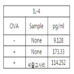 대표도면