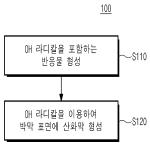 대표도면