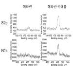 대표도면