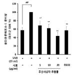 대표도면