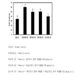 대표도면