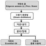 대표도면