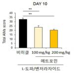 대표도면