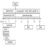 대표도면