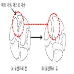 대표도면