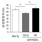 대표도면