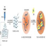 대표도면