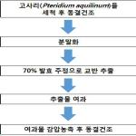 대표도면