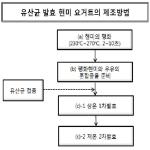 대표도면