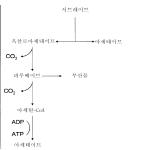 대표도면