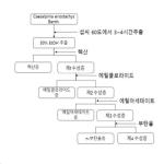 대표도면