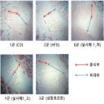 대표도면