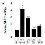 대표도면