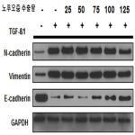 대표도면