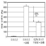 대표도면