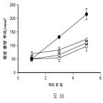 대표도면