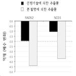 대표도면