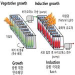 대표도면