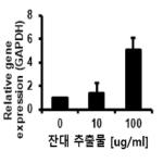 대표도면