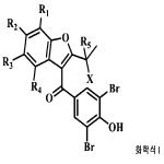 대표도면