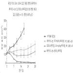 대표도면