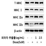 대표도면