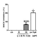 대표도면