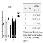 대표도면