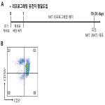 대표도면