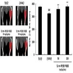 대표도면