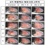 대표도면