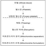 대표도면