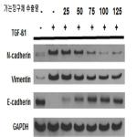 대표도면