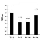 대표도면